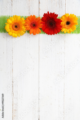 Gerbera