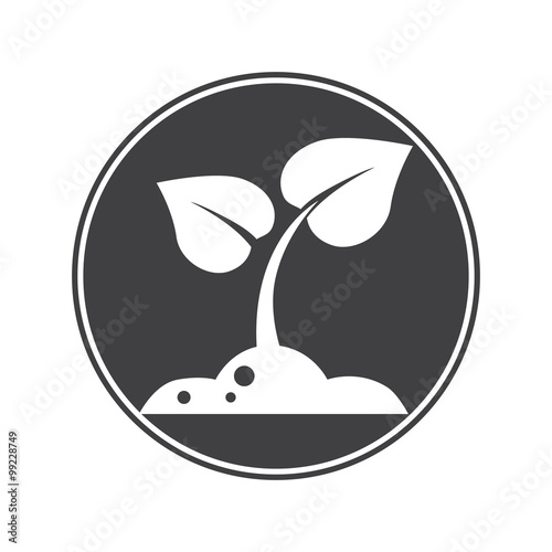 Plant germ icon