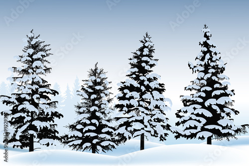 winter fir silhouettes in snow on blue background