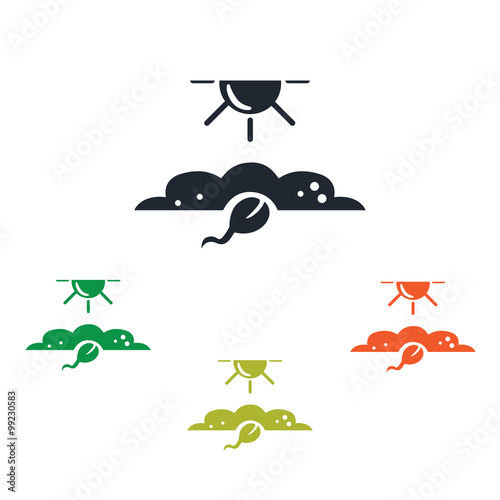 Plant  grow icon
