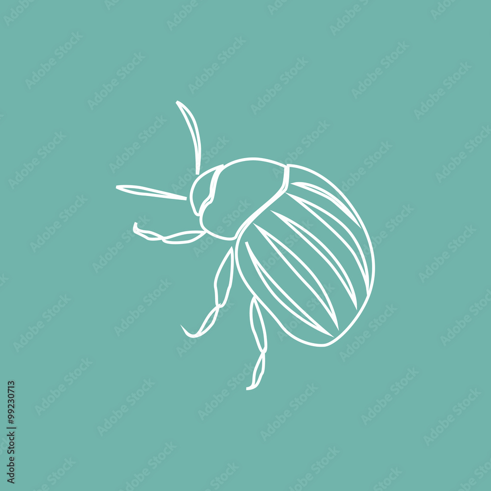 Fototapeta premium Colorado potato beetle icon