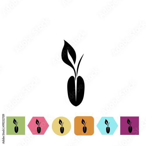 Corn seed icon