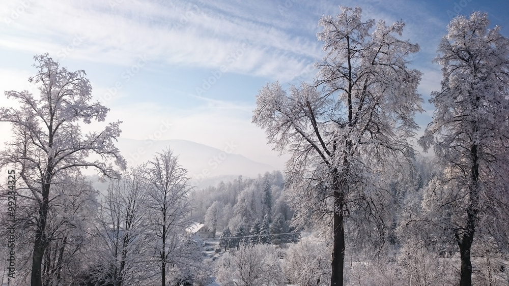 Winter trees in mountains covered with fresh snow Winter trees in mountains covered with fresh snow