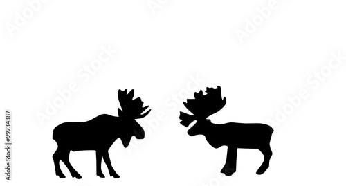 two elks 