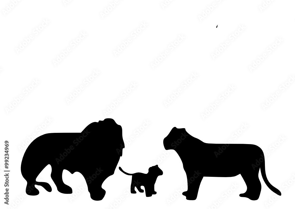 lion family 