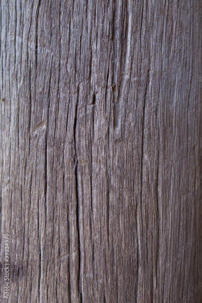 texture from wood texture from wood