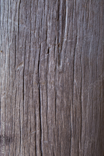 texture from wood