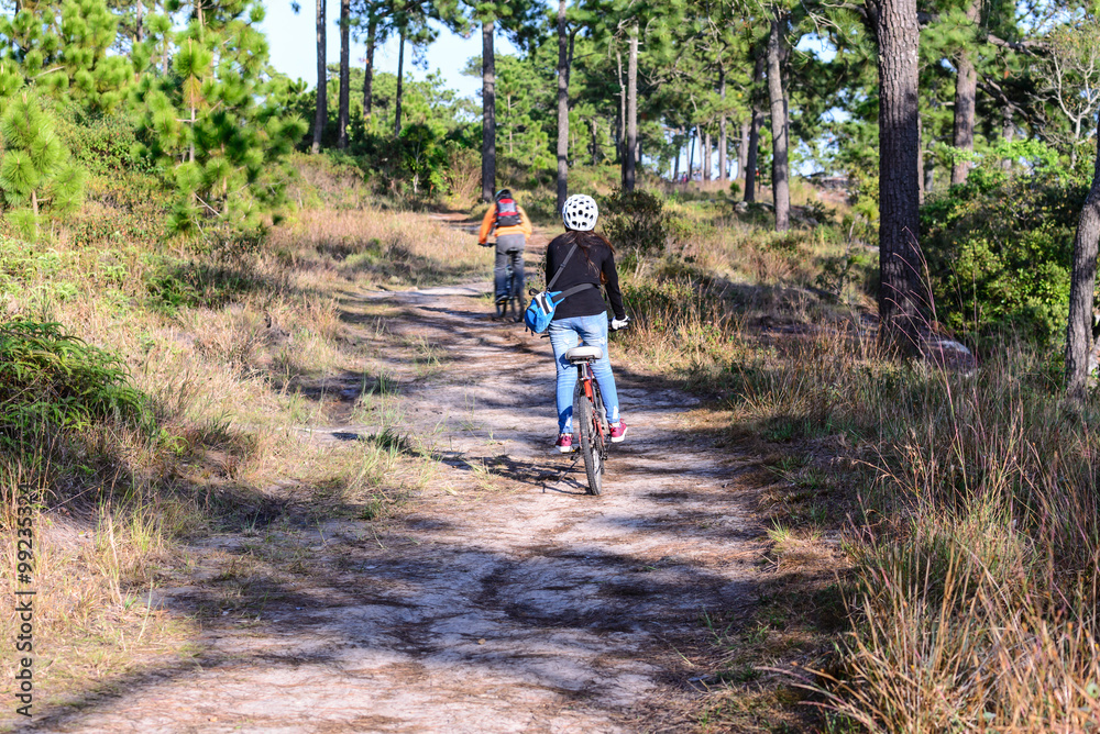 Obraz premium Cyclists rides on a gravel road in the middle of a pine forest.
