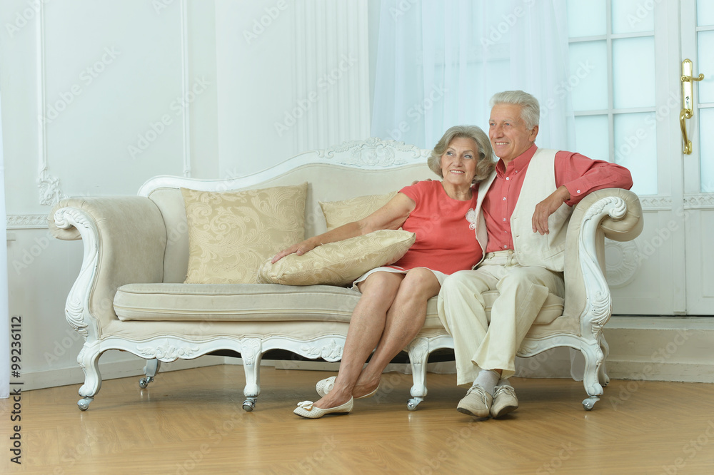 Obraz premium Beautiful elderly couple on sofa
