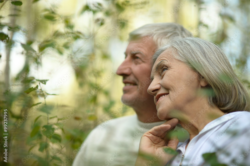 mature couple in summer park mature couple in summer park