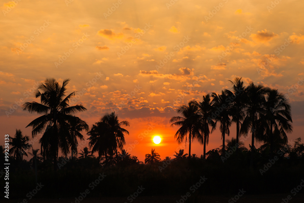 Obraz premium Morning scenery with natural light