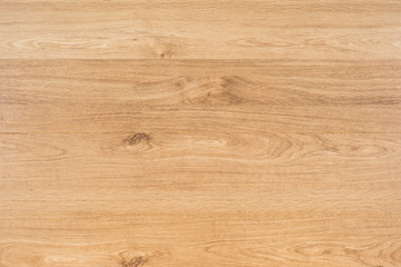 nature wood background