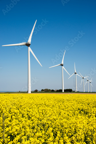 Wind turbine in a yellow flower field of rapeseed, renewable energy, ecological electrity
