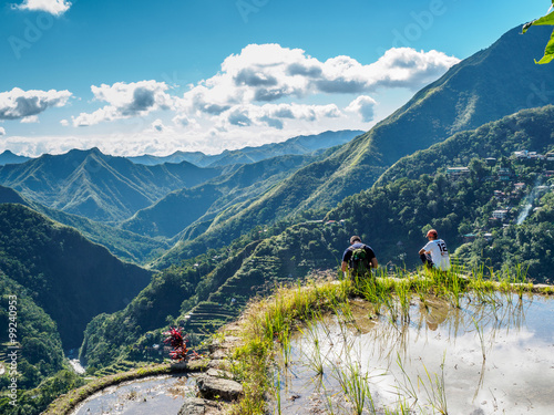 Obraz na plátně Rice Terrace, Philippines