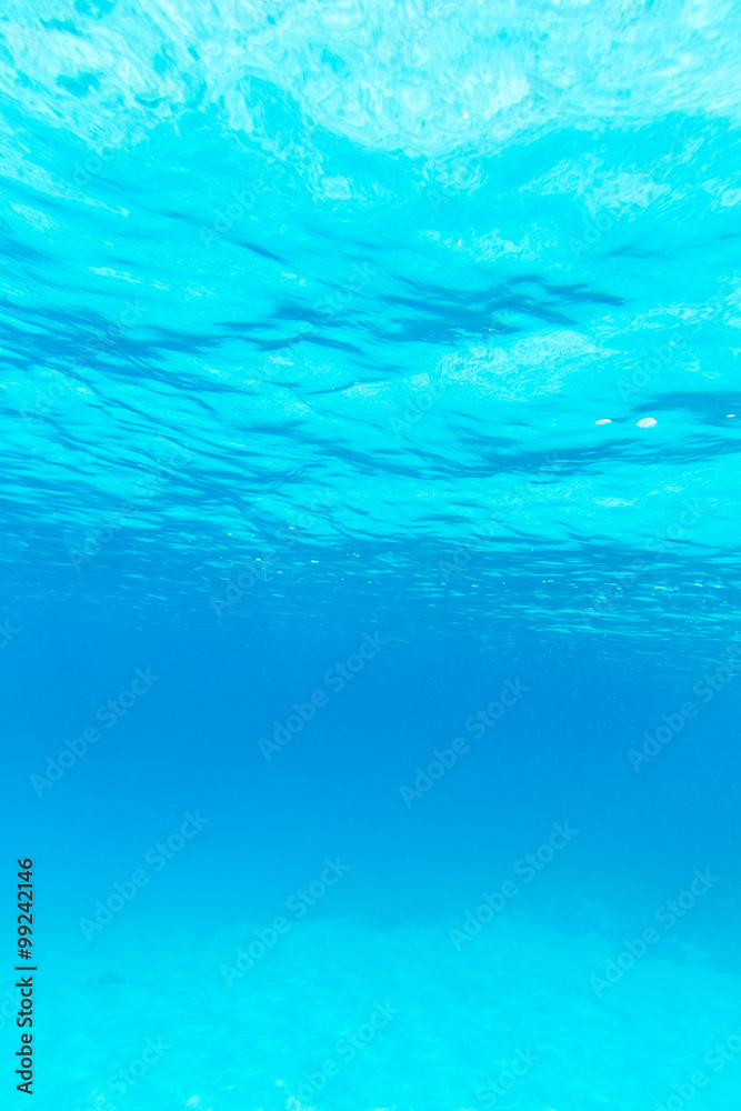 Tranquil underwater scene with copy space Tranquil underwater scene with copy space