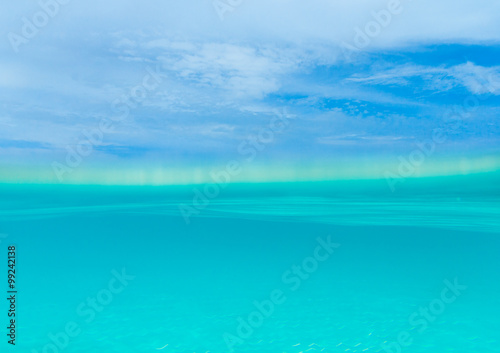 Tranquil underwater scene with copy space