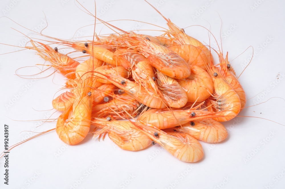 prawn Shrimp