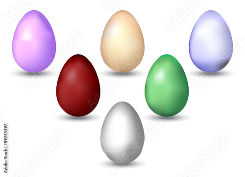 vector eggs