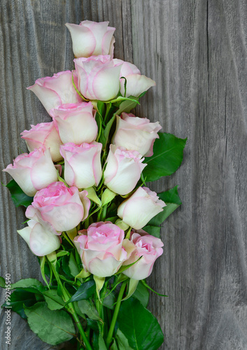 Pink roses on the boards