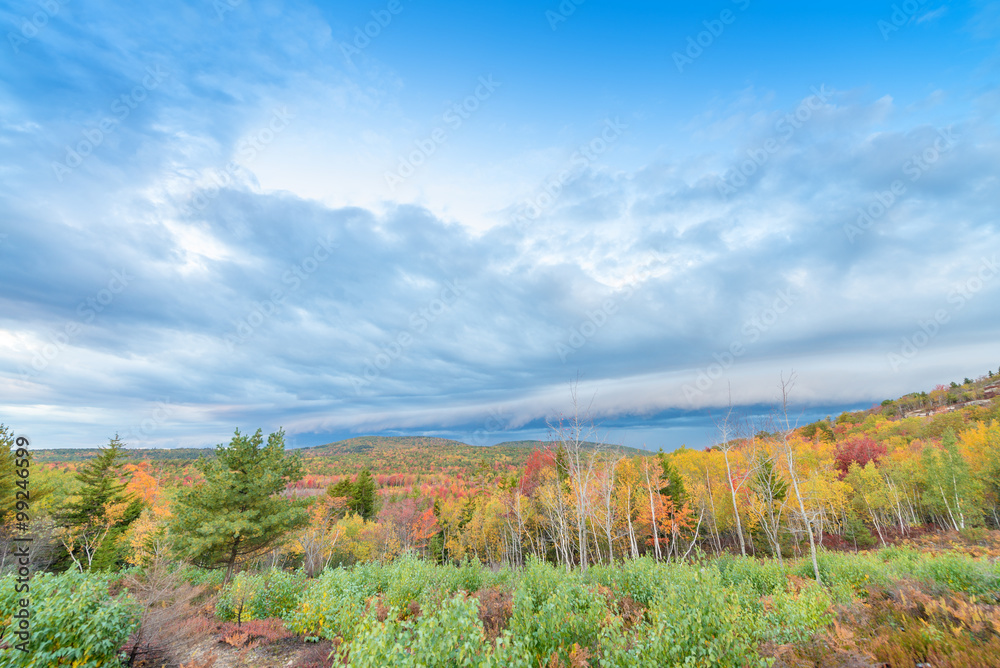 Aerial view of fall tree colors in New England. Bright autumn fo