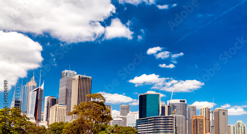 Sydney, Australia. Panoramic city skyline © jovannig
