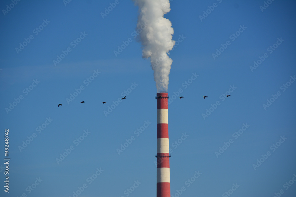 The smoke from the chimney and birds  escaping from pollution