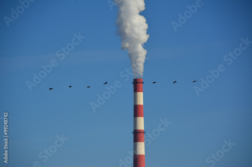 Canvas Print The smoke from the chimney and birds  escaping from pollution
