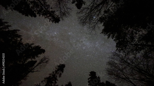 The stars in the Milky Way Galaxy rotate in this night sky time-lapse.  The Milkyway is framed by pine trees in a forest clearing.