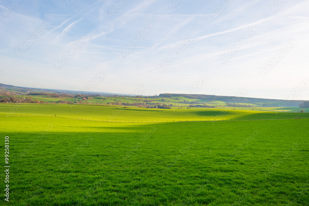 Sunny meadow on a hill in winter Sunny meadow on a hill in winter
