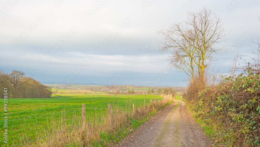 Path through sunny farmland in winter Path through sunny farmland in winter