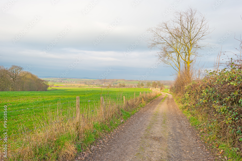 Path through sunny farmland in winter Path through sunny farmland in winter