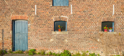 Fototapeta Naklejka Na Ścianę i Meble -  Flowers in a pot outdoors in winter