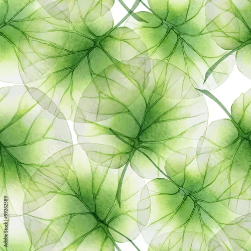 Tapety Akwarela Kwiatowy wzór z liści lotosu