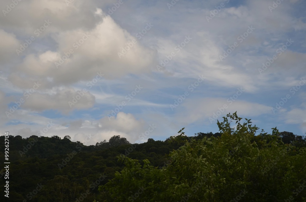Timelapse of clouds moving over the green mountain with tree swaying in the wind in the foreground Timelapse of clouds moving over the green mountain with tree swaying in the wind in the foreground