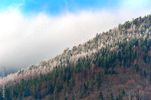 Winter mountains slope