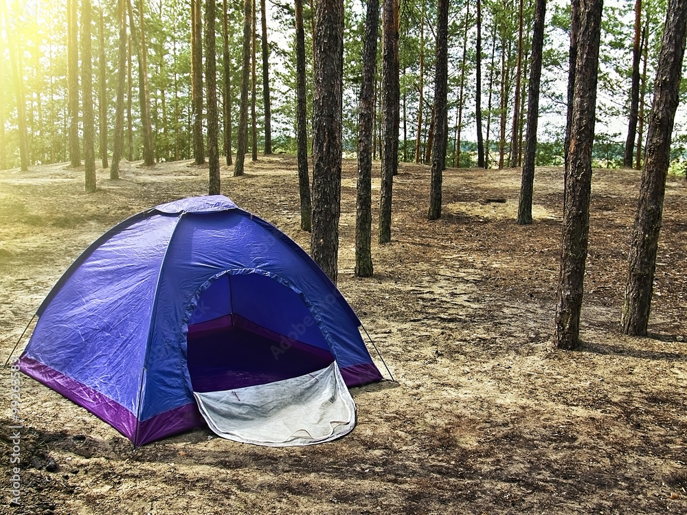 tourist tent in the summer pine forest