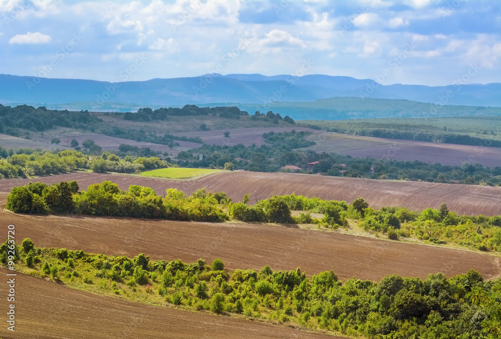 Obraz premium Plowed Fields