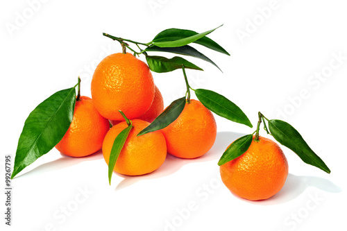 Konstfotografi Mandarinen