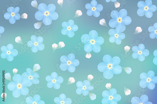 branch of blue forget-me-not flowers isolated - vector illustration