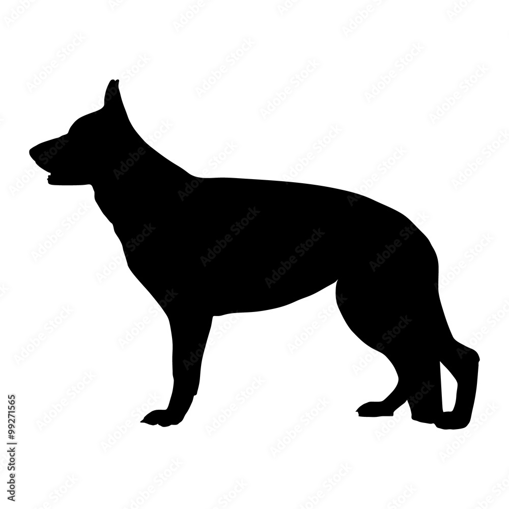 Black silhouette of German Shepherd dog. Vector illustration 