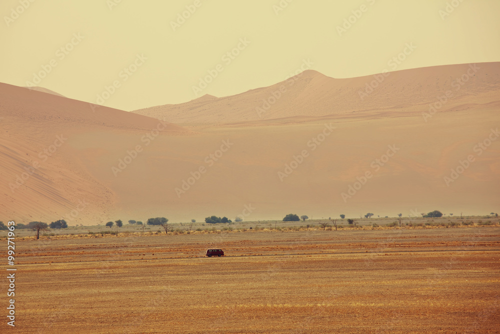 Obraz premium Namib desert