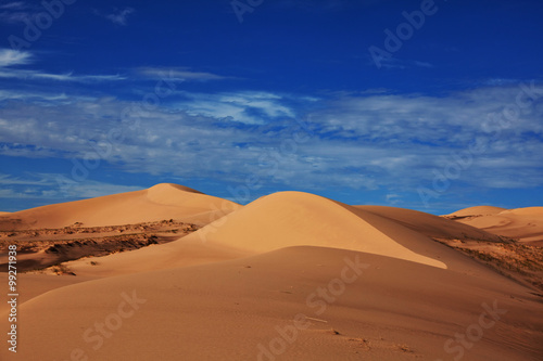 Namib desert © Galyna Andrushko