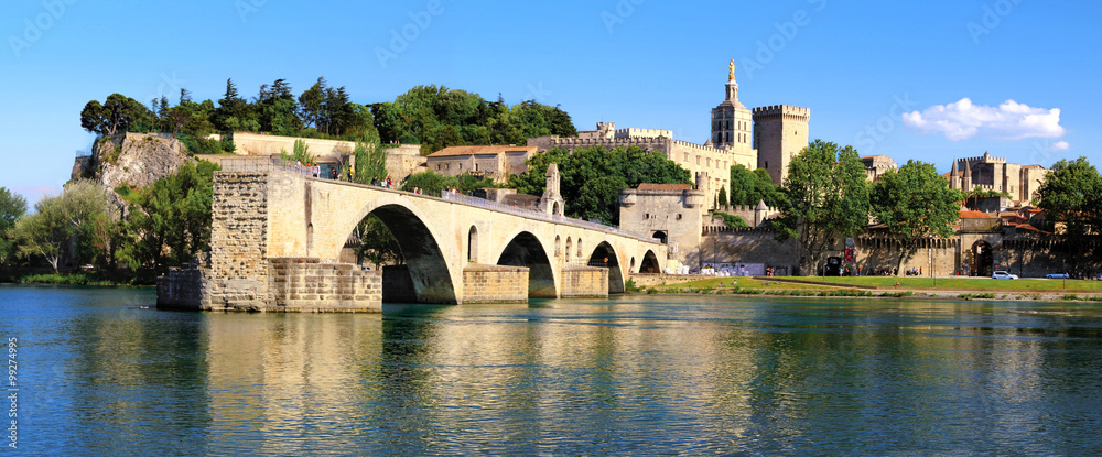 Le rocher des Doms,le pont d'Avignon, et le Palais des Papes - obrazy, fototapety, plakaty 