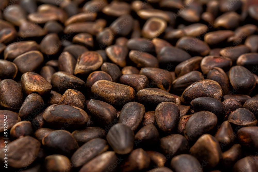Cedar nuts background Cedar nuts background