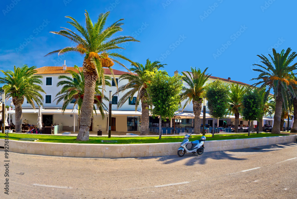 Novalja on Pag island palm waterfront view Novalja on Pag island palm waterfront view