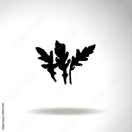 Arugula vector icon.