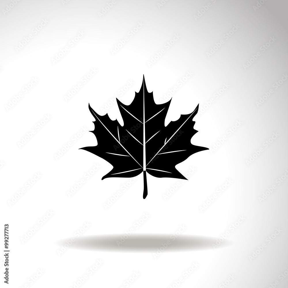 Maple leaf vector icon. Maple leaf vector icon.
