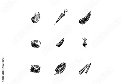 Hand drawn vegetables set on white background. Vector illustration.