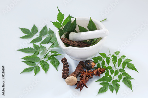 Ayurvedic Herbs Neem