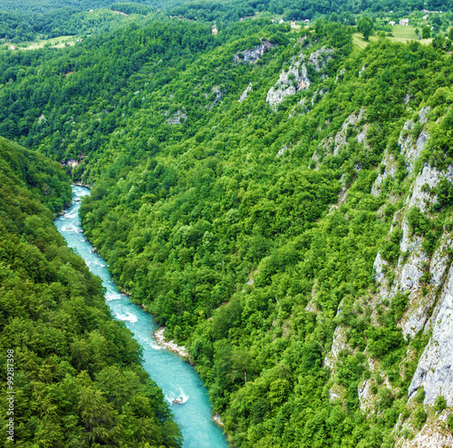 Mountain river Tara and forest in Montenegro © Travel Faery